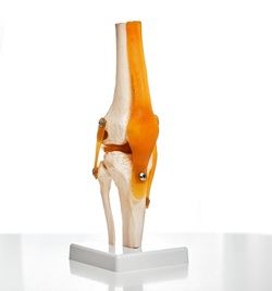 tratamientos-de-traumatologia-en-atizapan-mexico